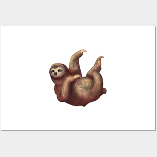 Cozy Three Toed Sloth Posters and Art